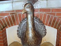 photos 2000-200902592